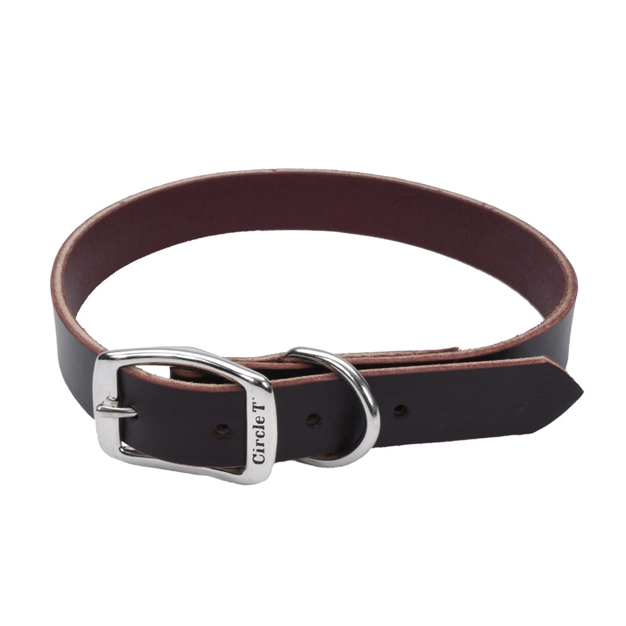 Circle T Latigo Leather Town Dog Collar, Small