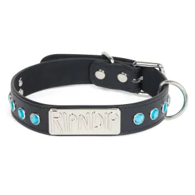 Lord Nermal Studded Pet Collar