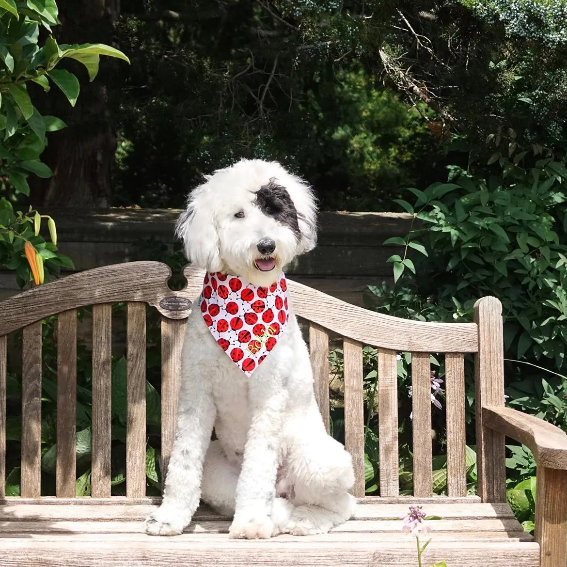 Pineapples, Pink Lemons, Limes and Watermelon Personalized Dog Bandanas